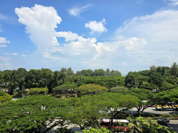Amo Residence (D20), Apartment #590297321